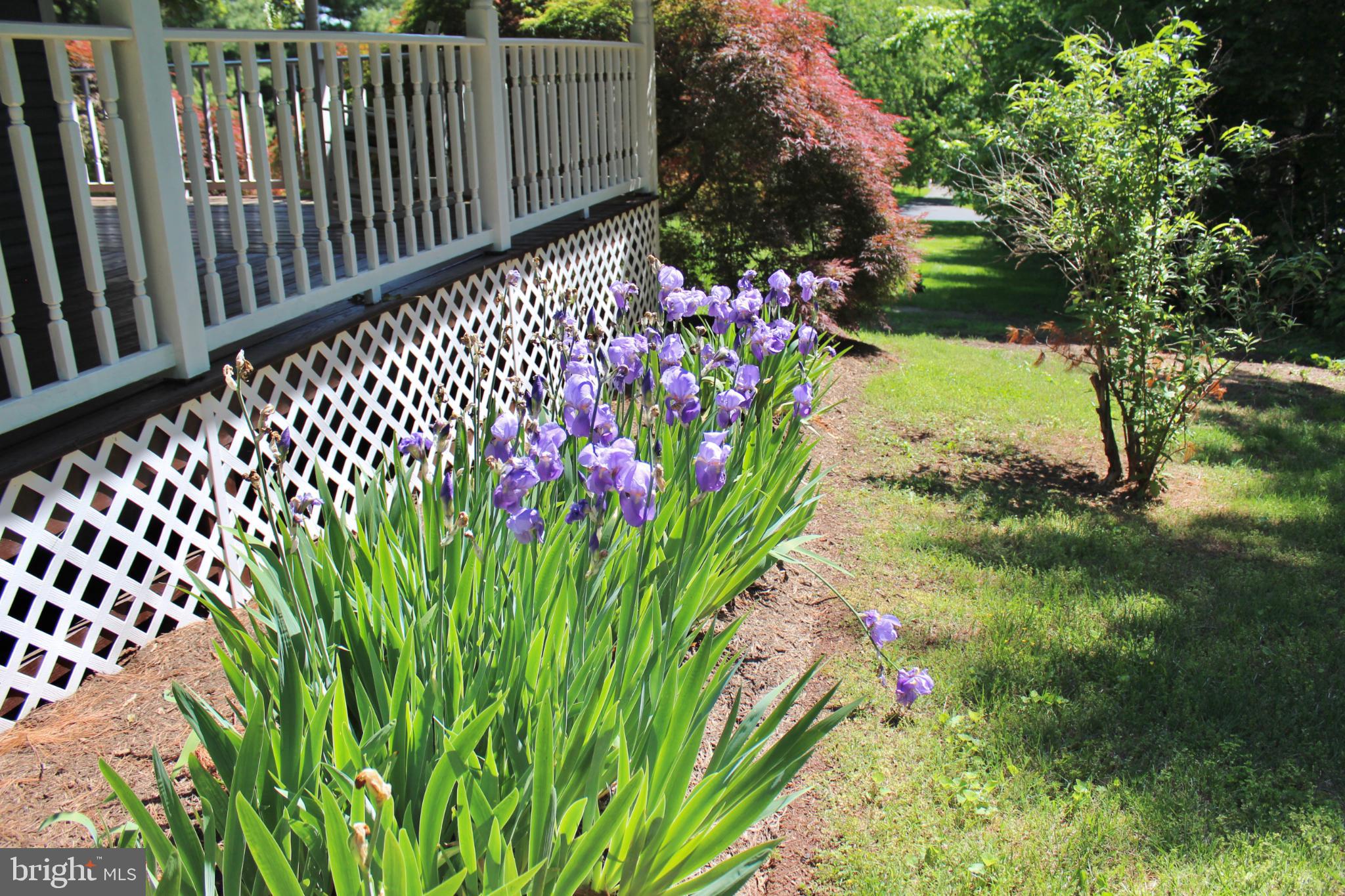 4011 GYPSUM HILL ROAD