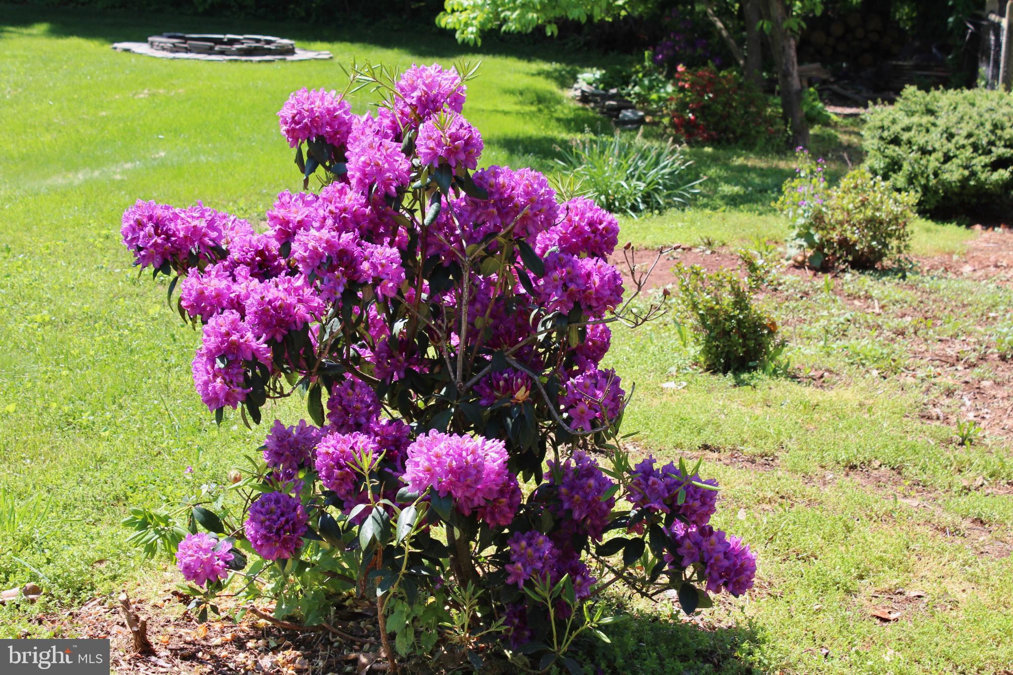 4011 GYPSUM HILL ROAD