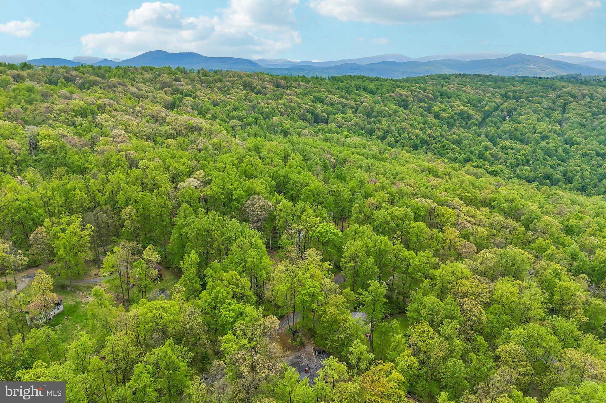 141 HICKORY NUT ROAD