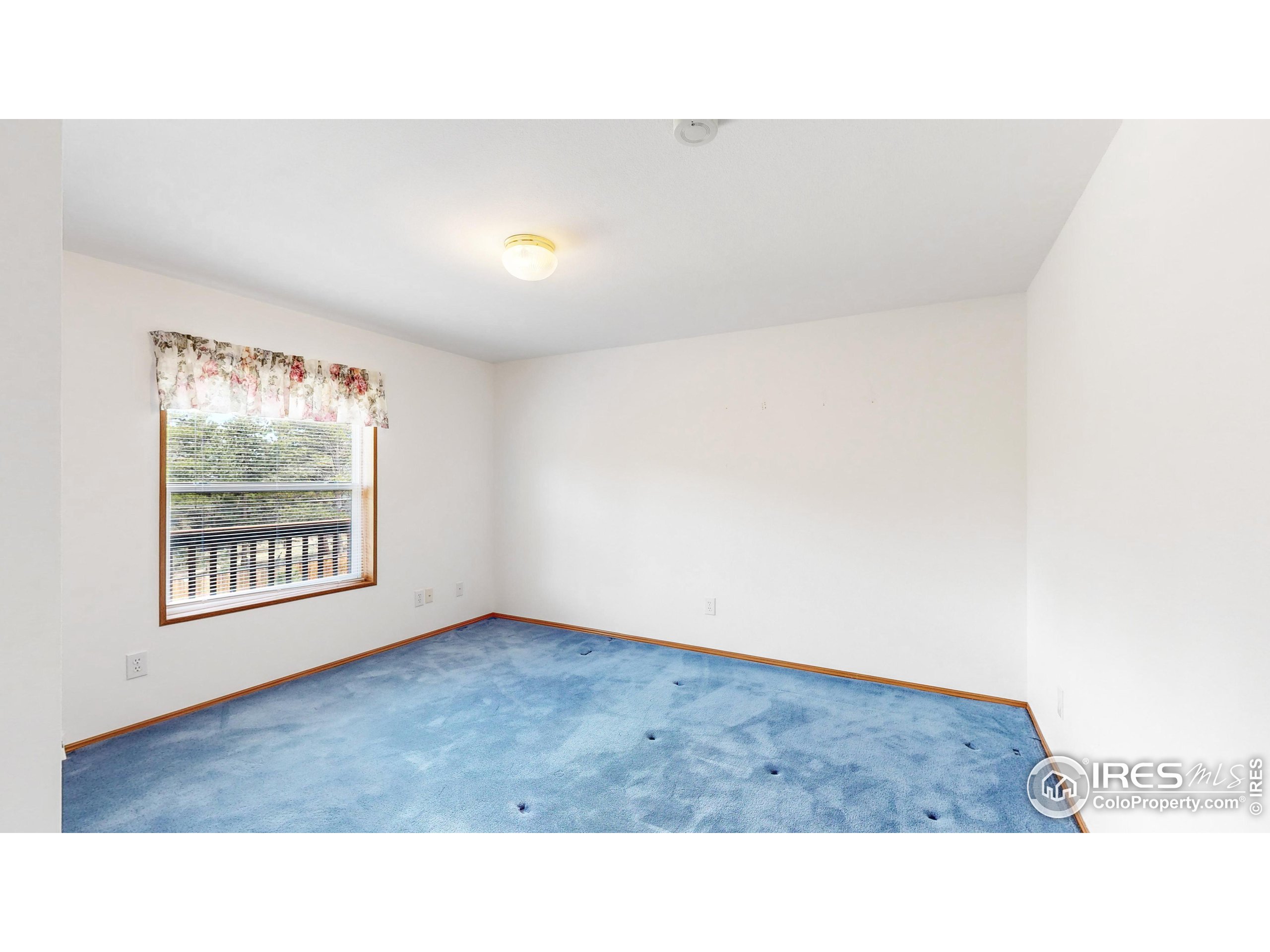 575 Chapin Ln
