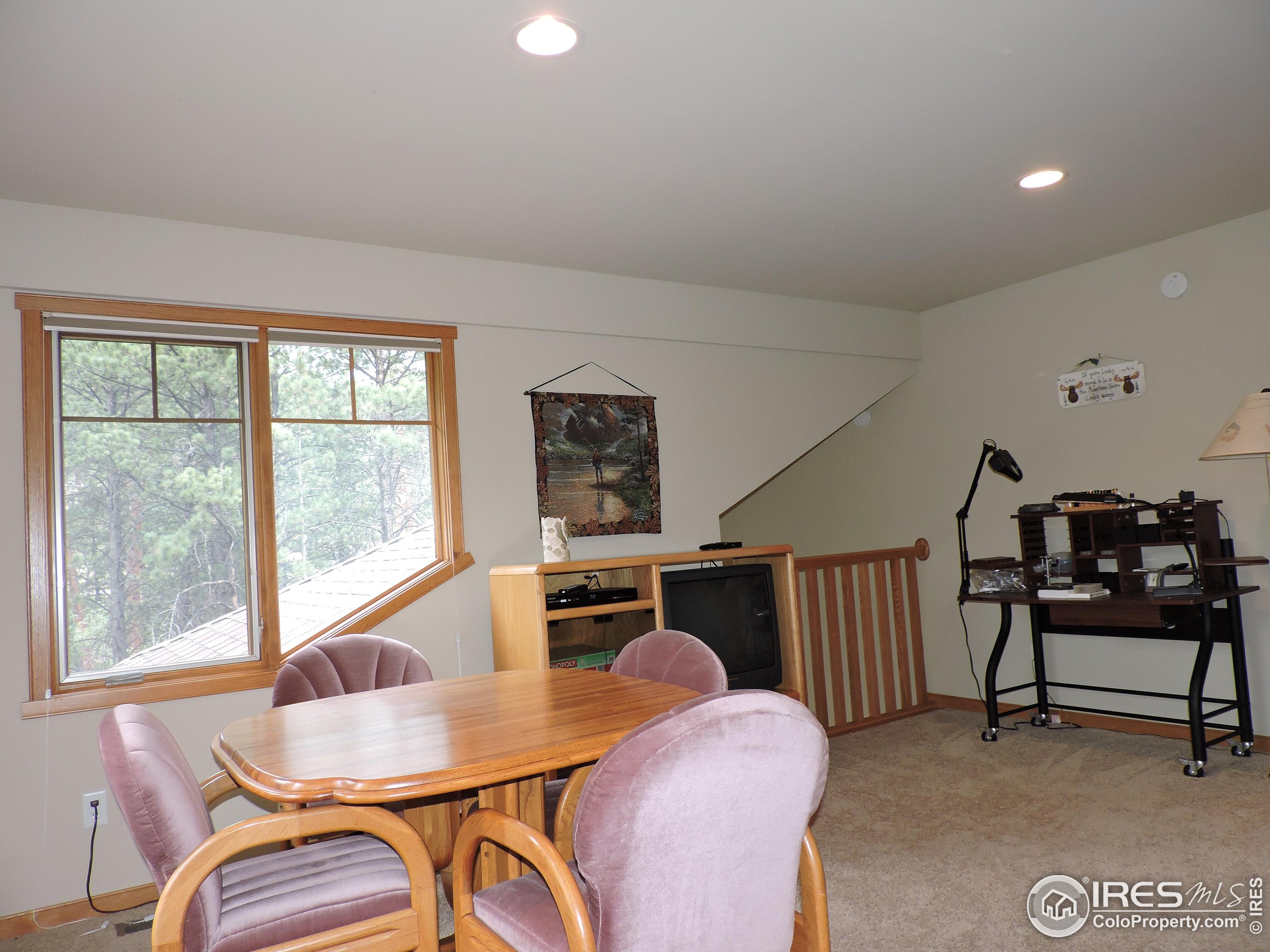 654 Park River Pl