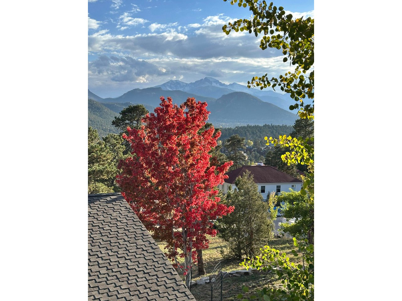 318 Overlook Ct