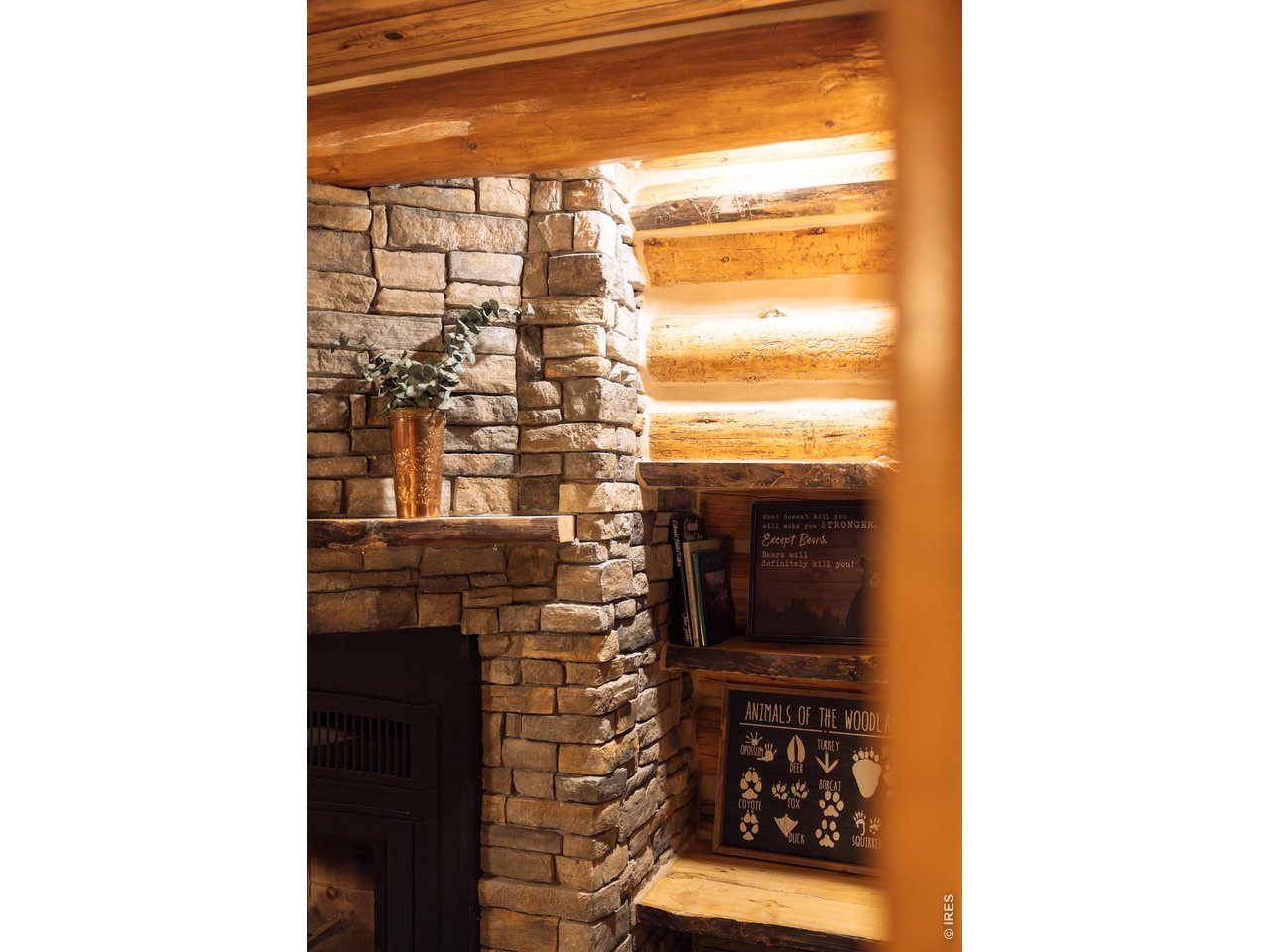 14142 N Saint Vrain Dr