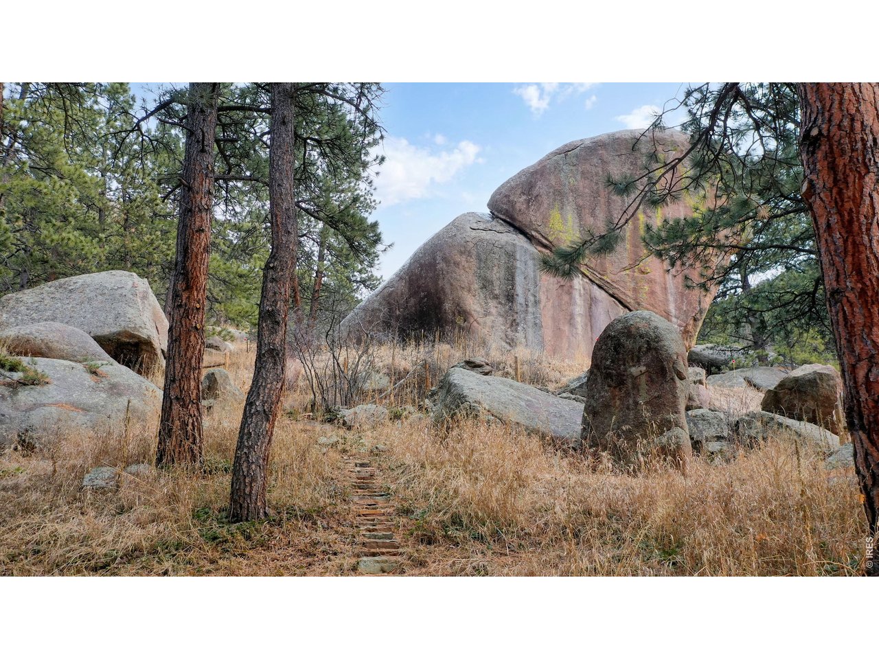 14142 N Saint Vrain Dr