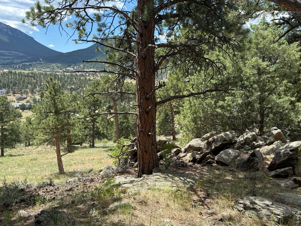 (TBD) Prospect Mountain Dr