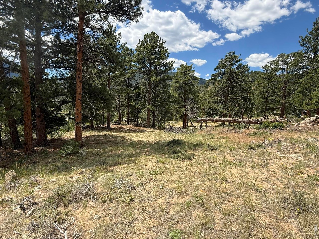 (TBD) Prospect Mountain Dr