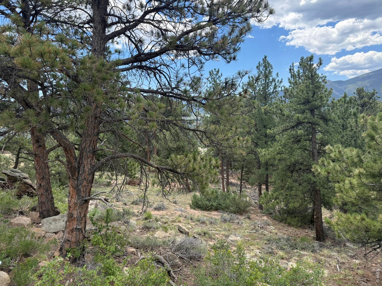 (TBD) Prospect Mountain Dr
