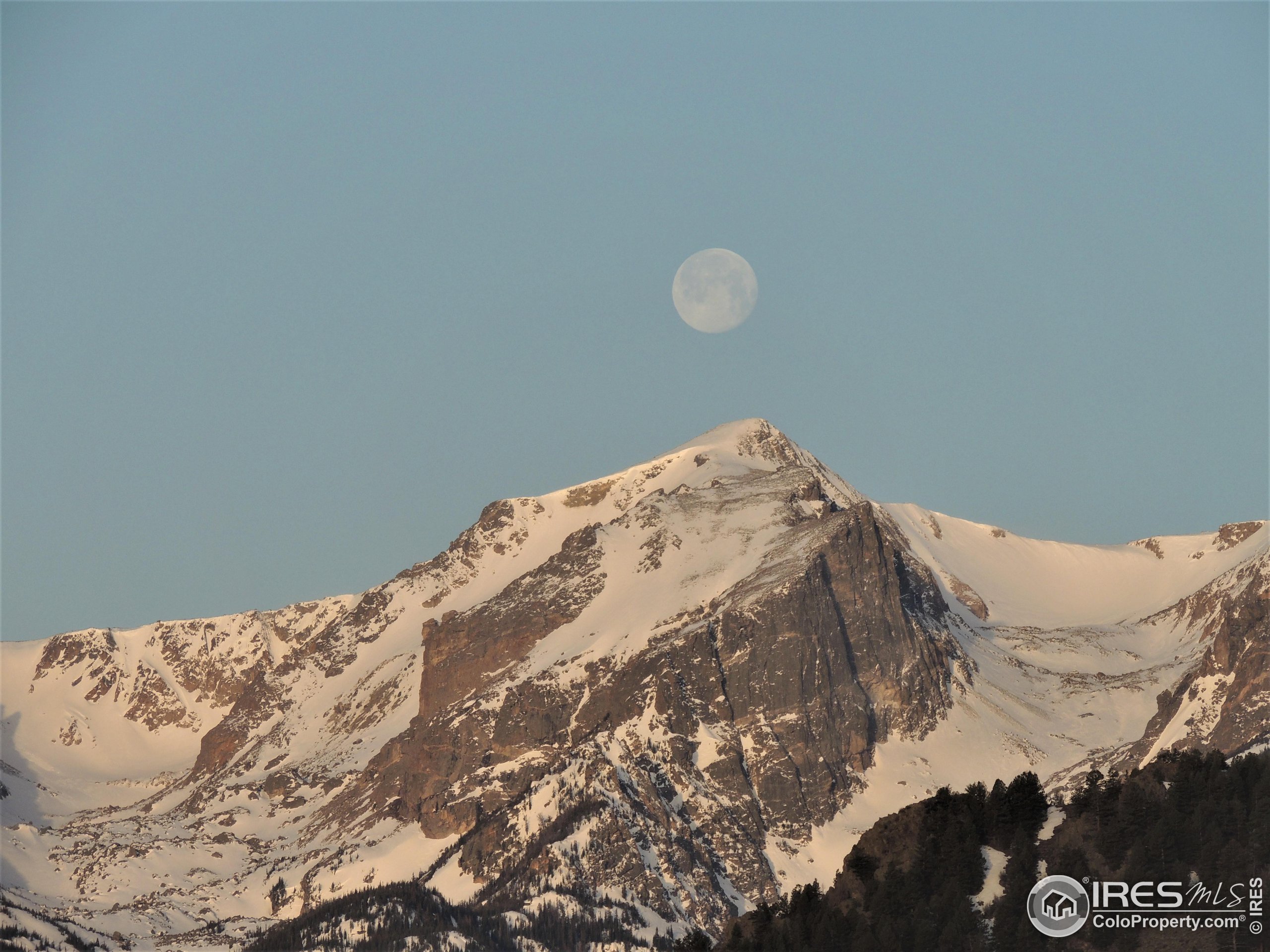 1761 Aspencliff Ct C1