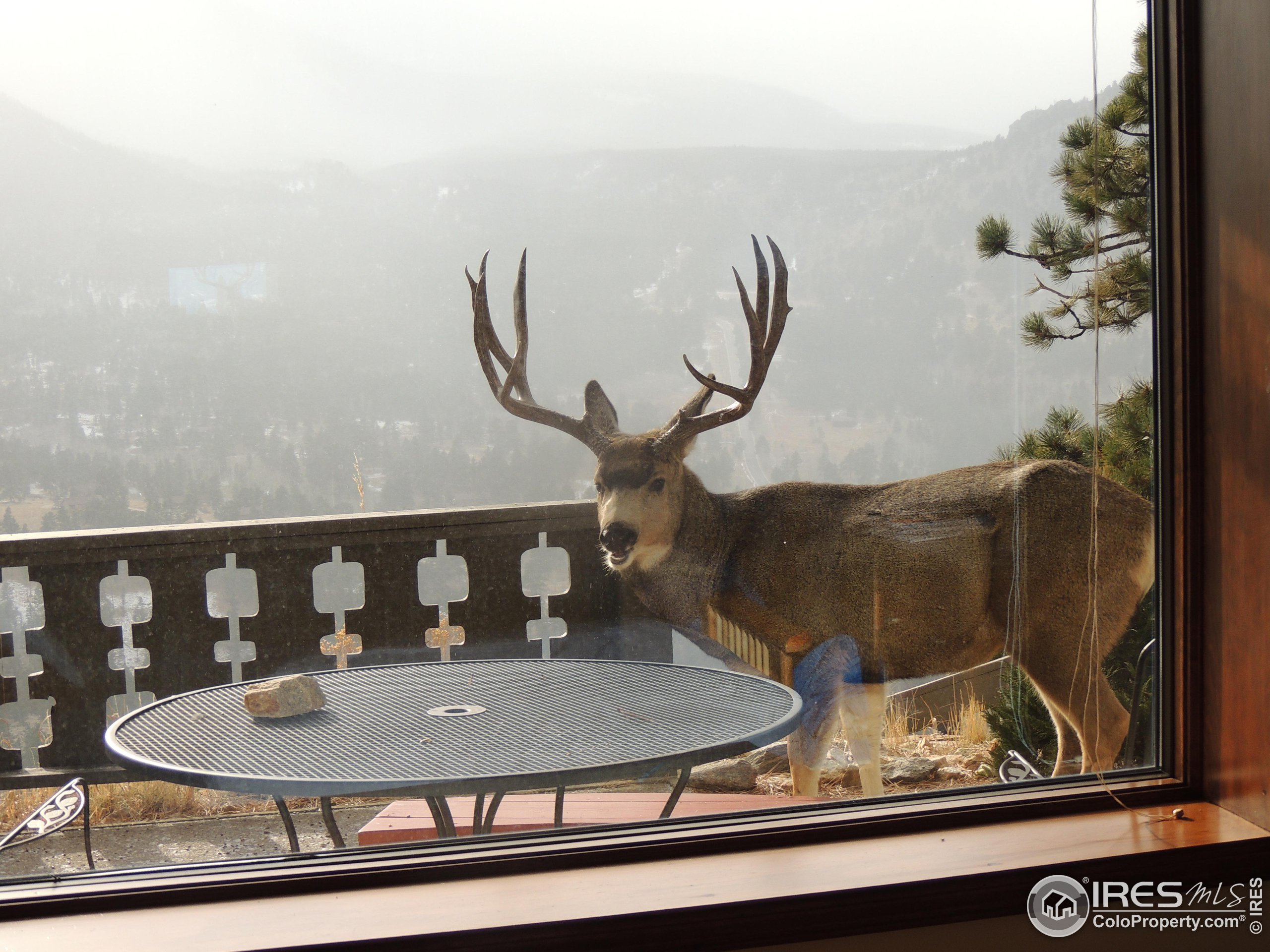 1761 Aspencliff Ct C1