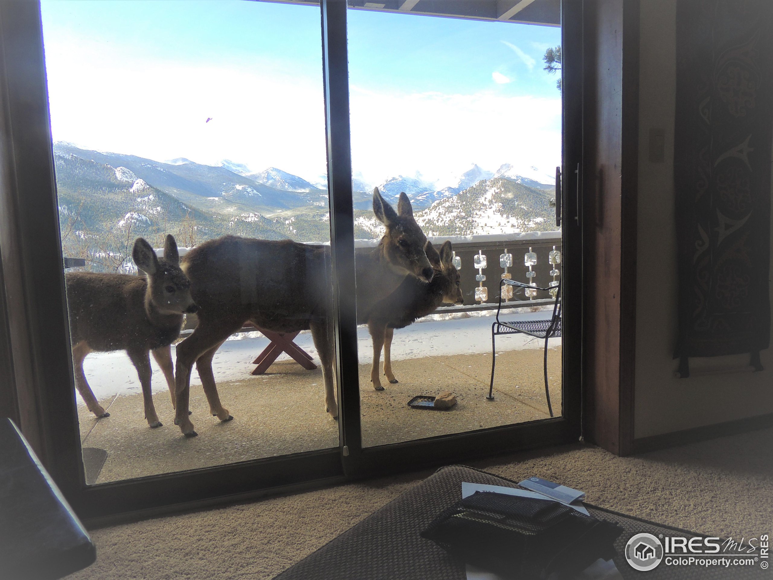 1761 Aspencliff Ct C1