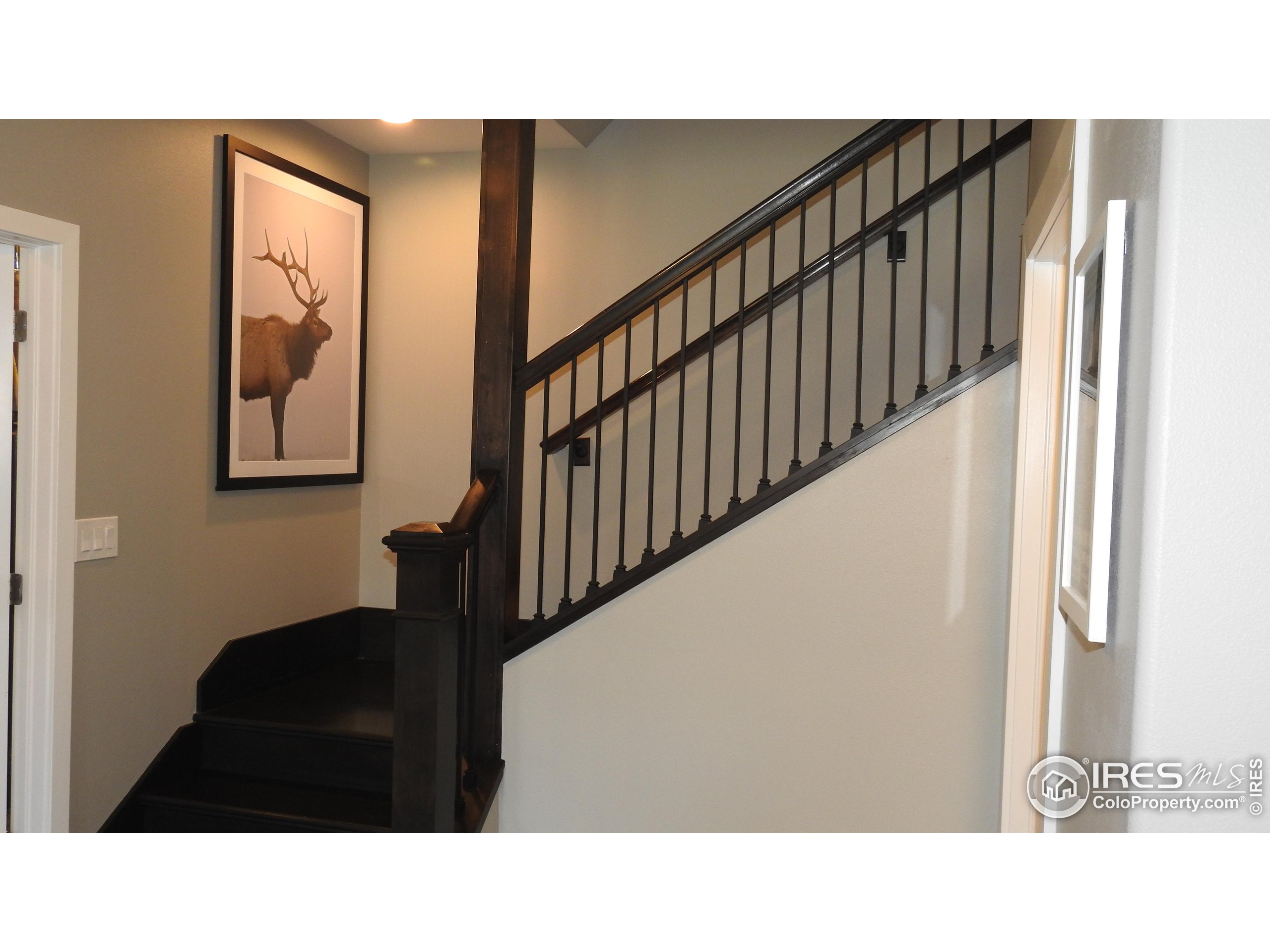 408 Overlook Ct