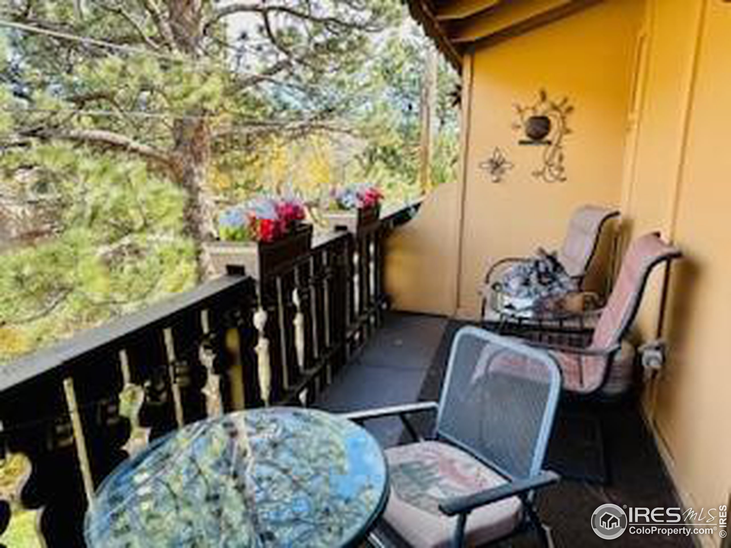 550 W Elkhorn Ave A-6