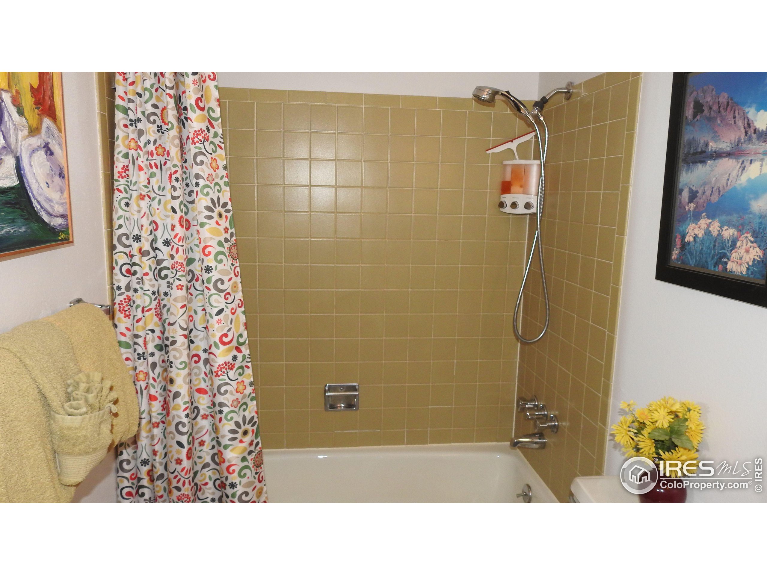 550 W Elkhorn Ave A-6