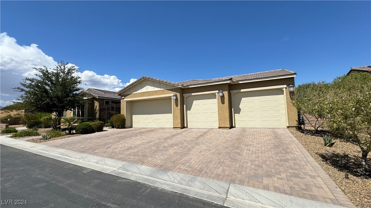 9782 Mountain Spruce Court
