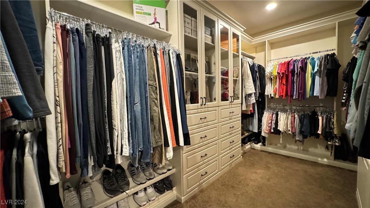 9782 Mountain Spruce Court