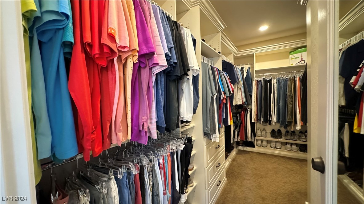 9782 Mountain Spruce Court