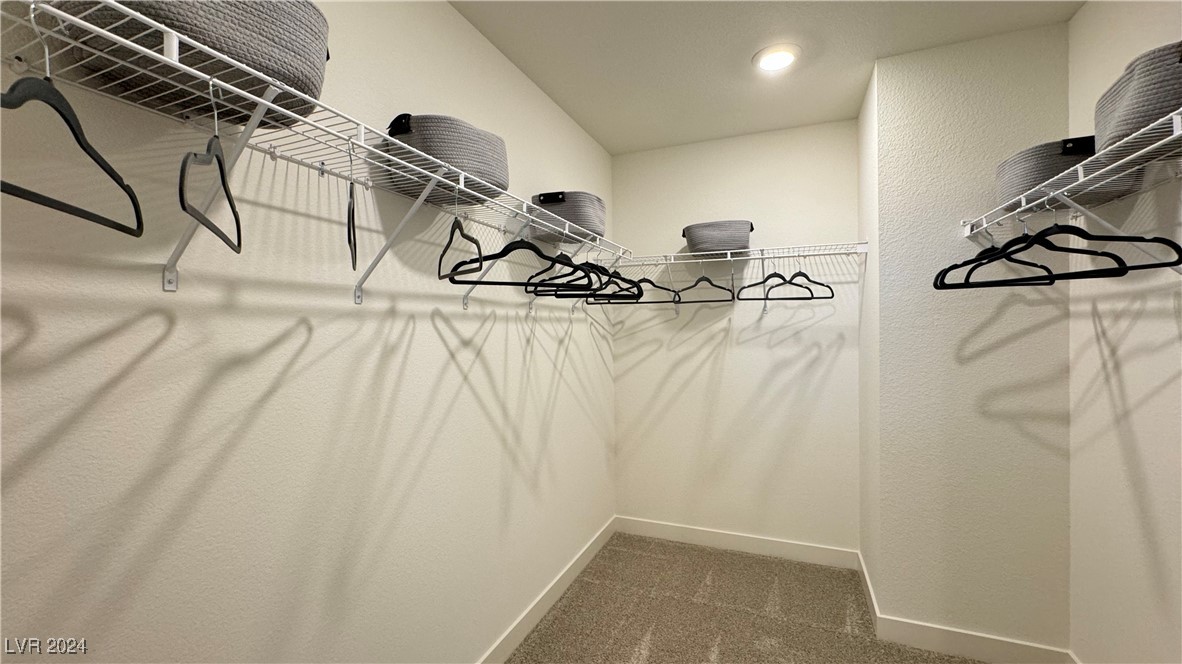 9744 Trail Ledge Court