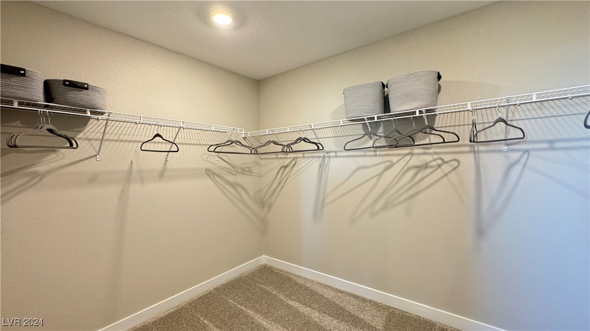 9738 Trail Ledge Court