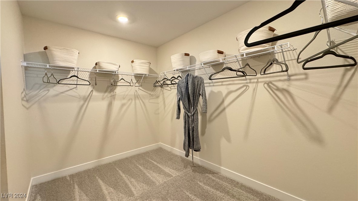 9732 Trail Ledge Court