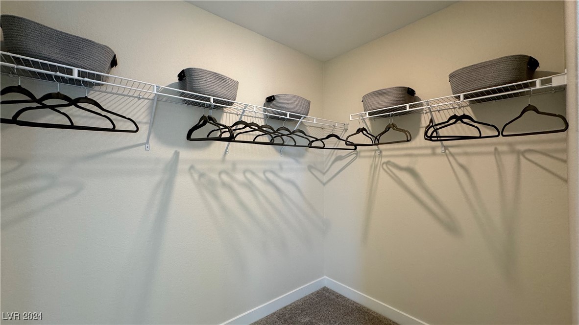 9732 Trail Ledge Court