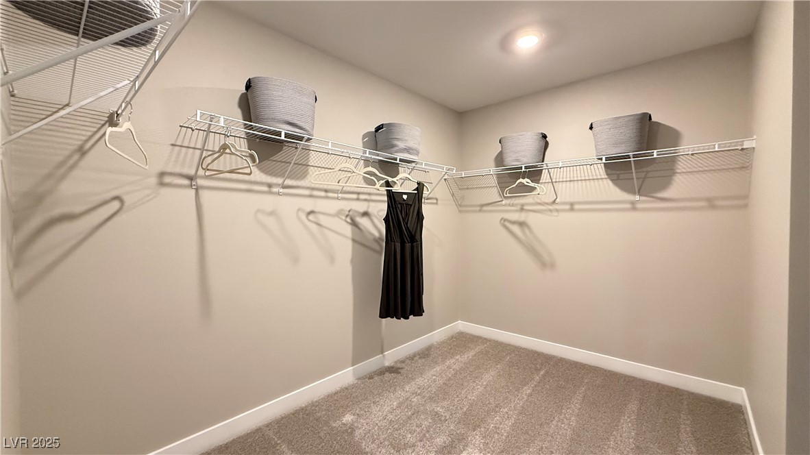 4181 Nopal Serrano Avenue