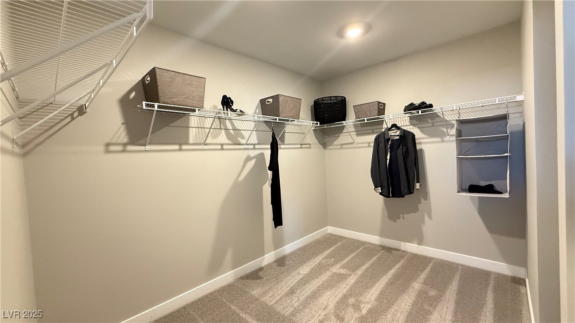 9136 Eagle Ford Street