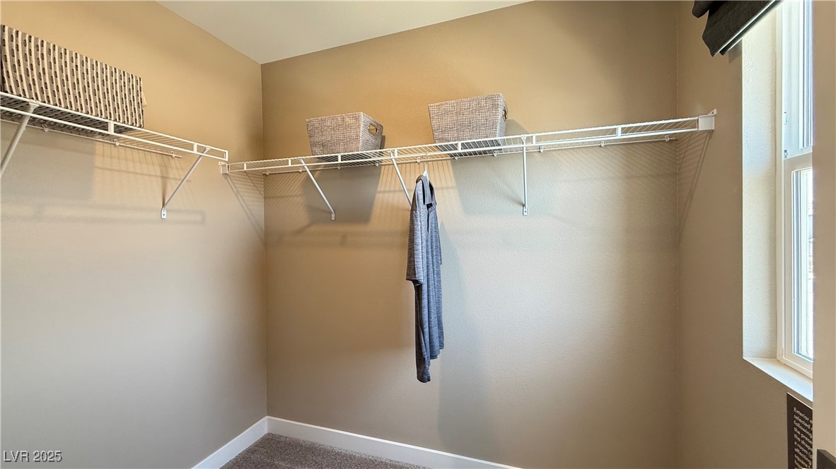 9136 Eagle Ford Street