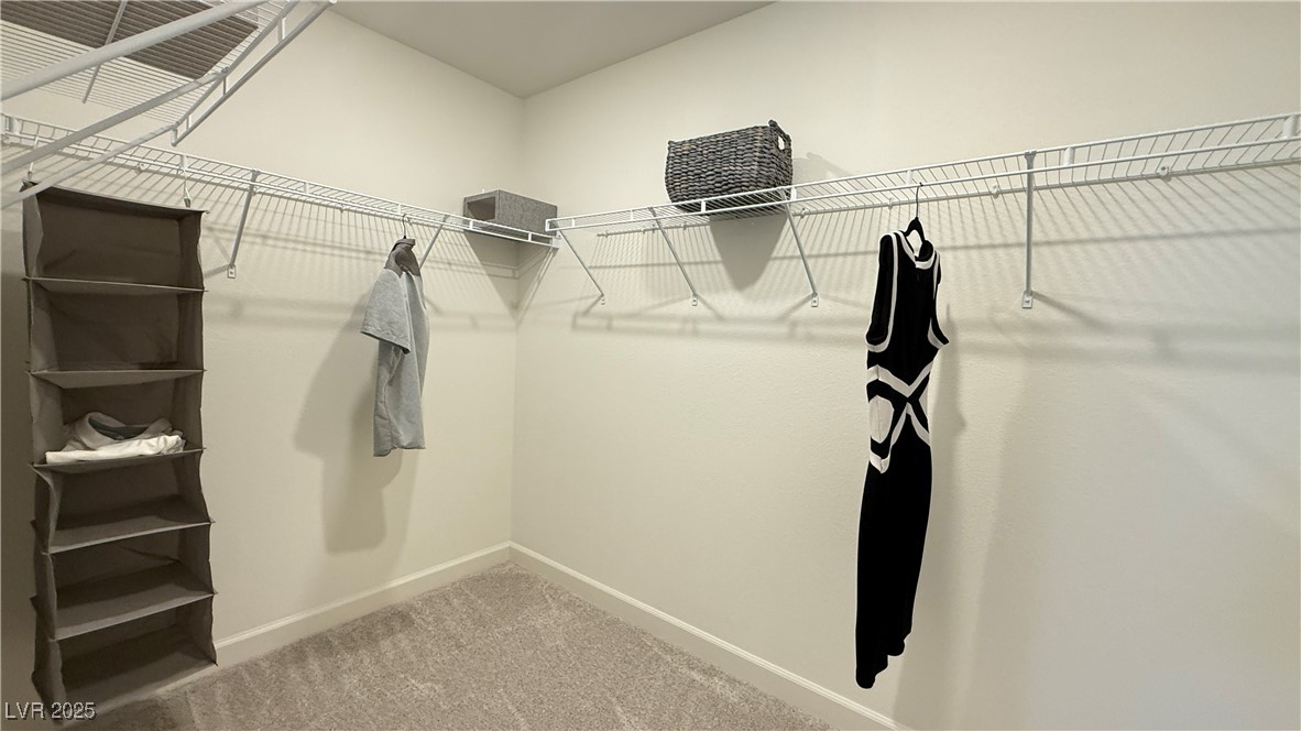 7388 Daly Grove Street