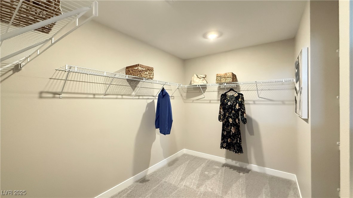 7394 Daly Grove Street