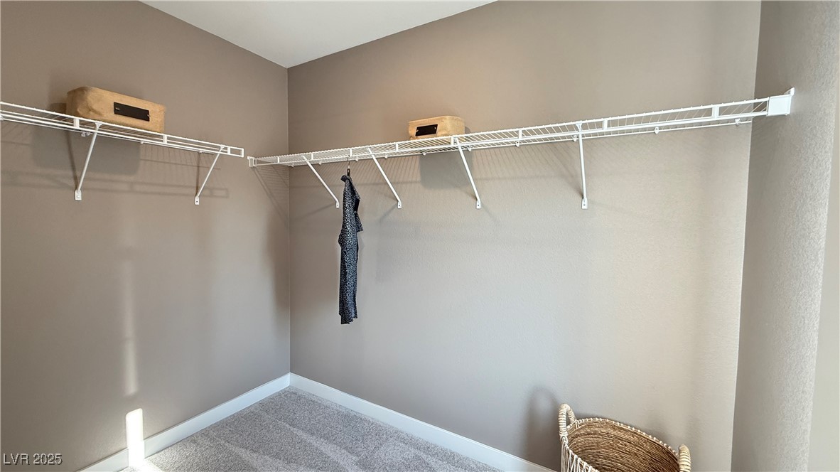 7394 Daly Grove Street