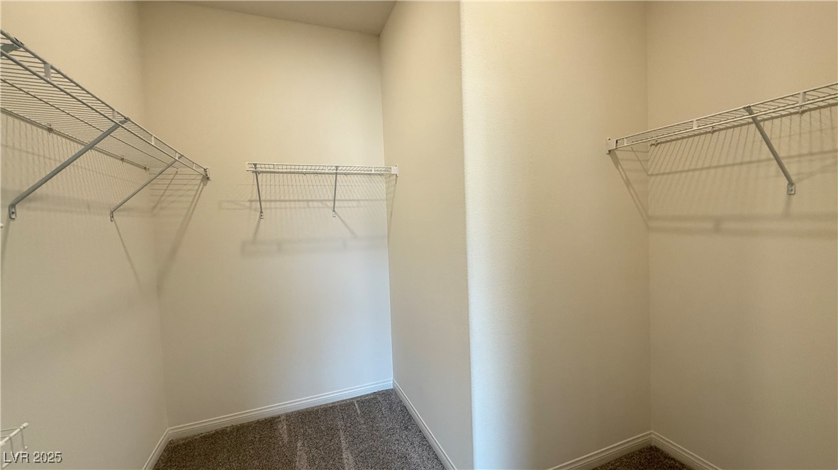 1545 Bat Hawk Street