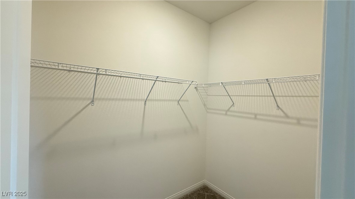 1545 Bat Hawk Street