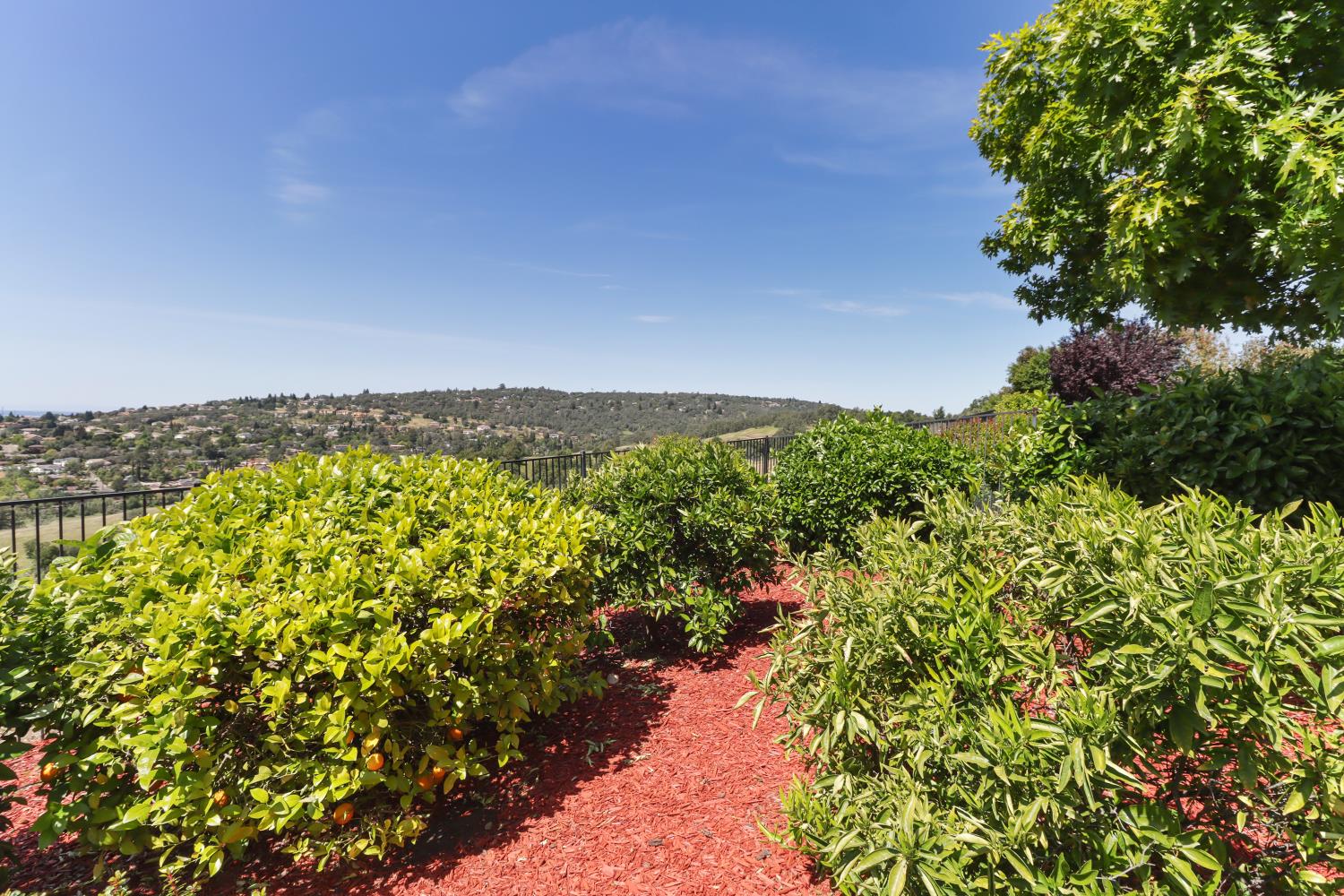 1294 Souza Drive