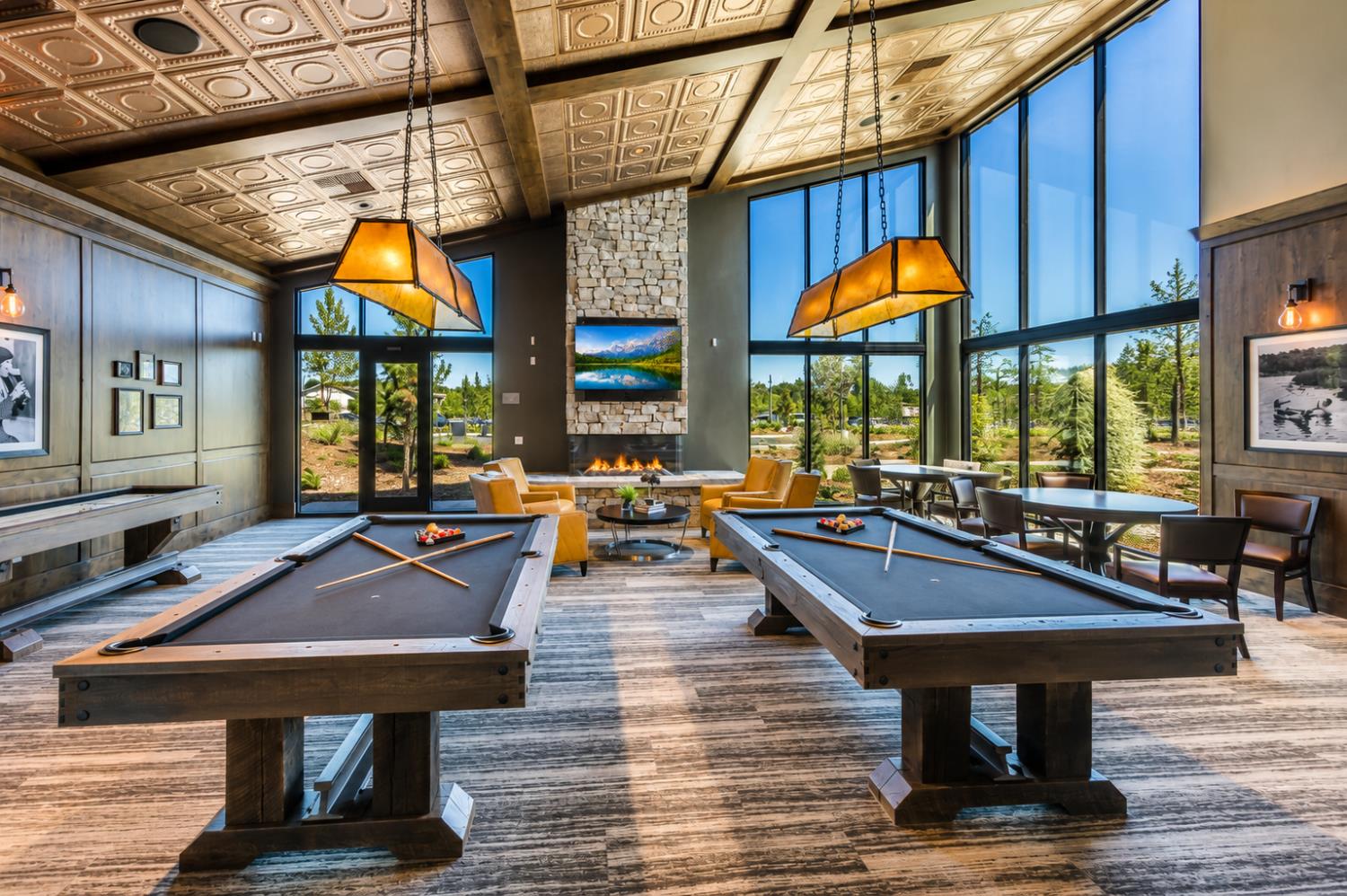 1399 Carson River Loop