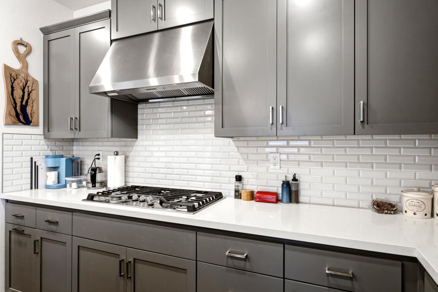 1399 Carson River Loop
