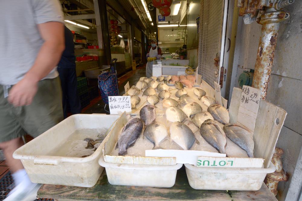 1045 Mason Street Unit: 001