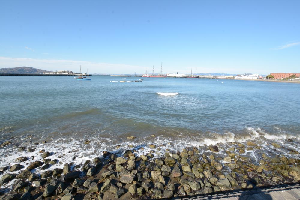 1045 Mason Street Unit: 001