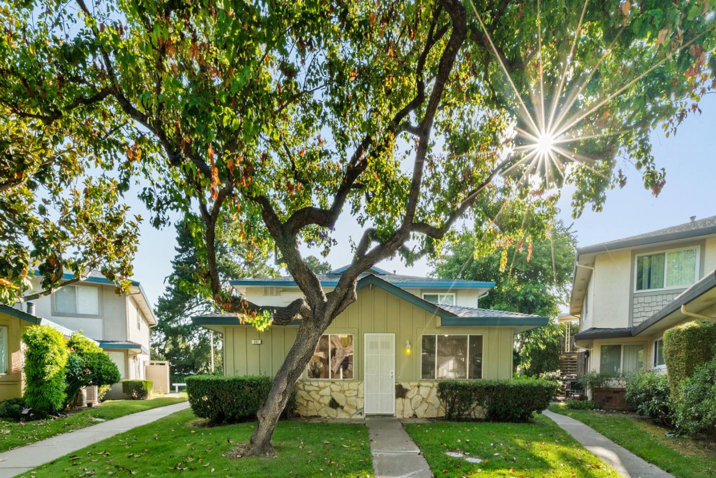 297 Watson Drive 1