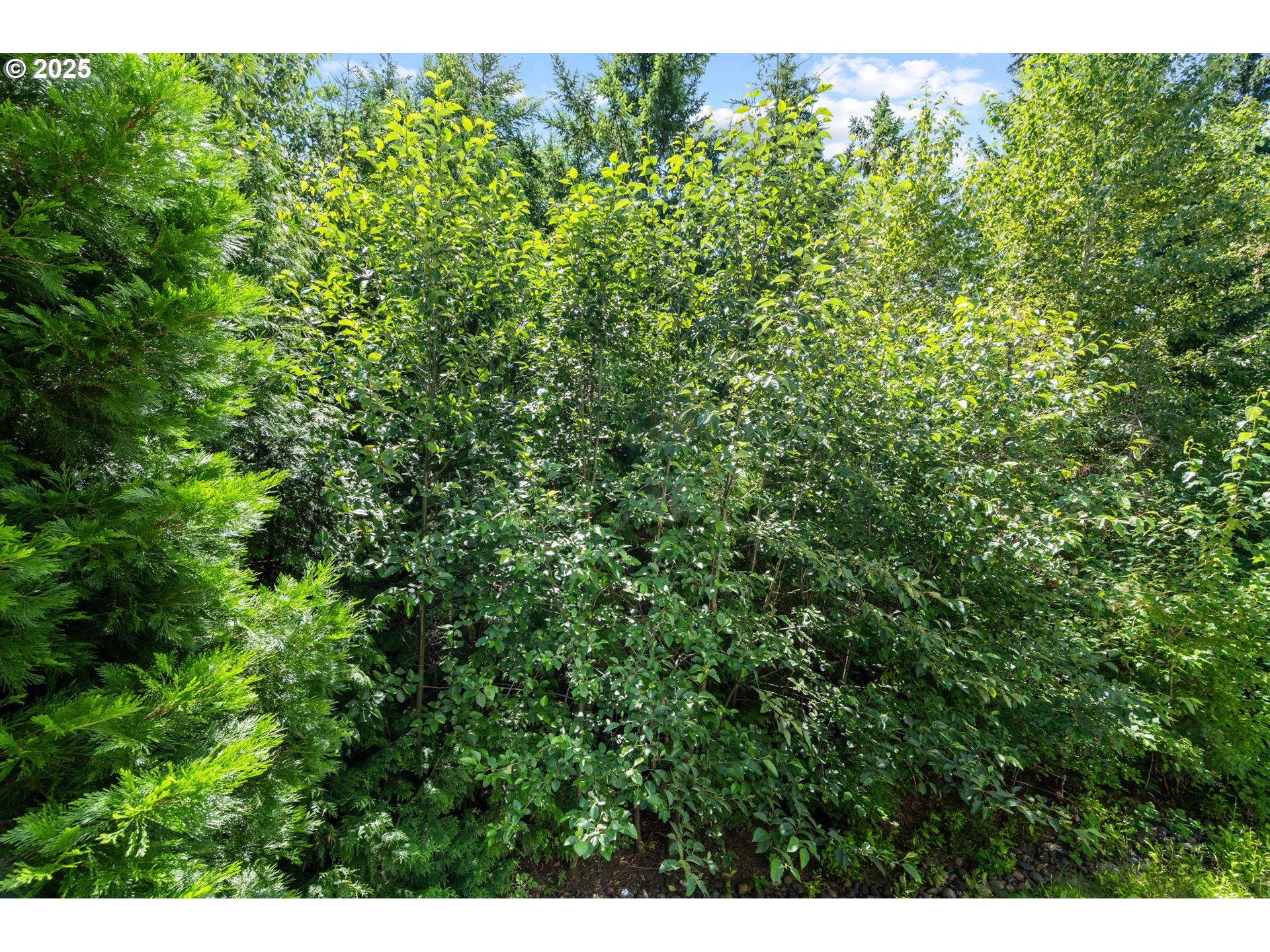 15400 SW MALLARD DR 102