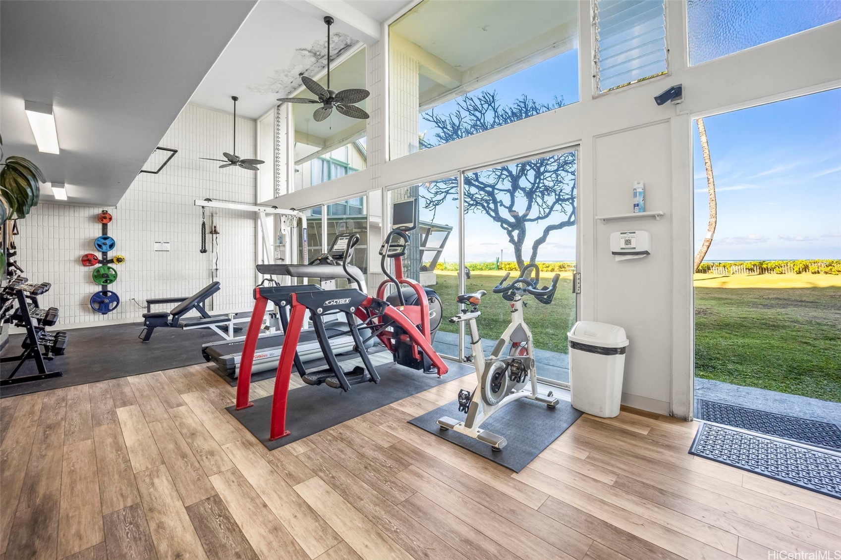 53-567 Kamehameha Highway 409