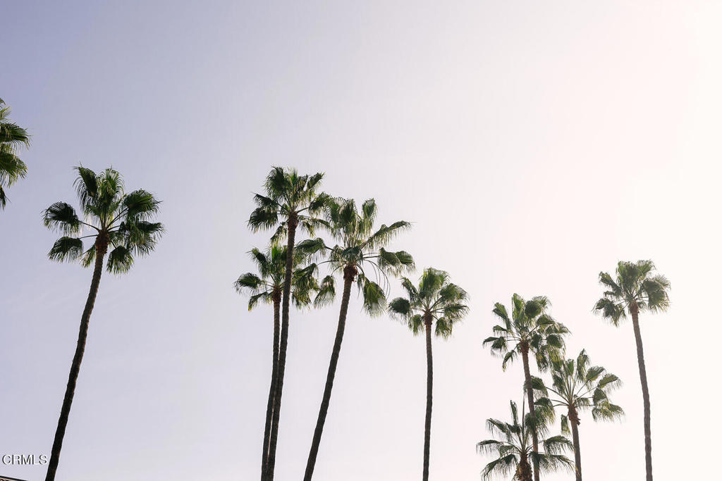 124 W Colorado Street 307