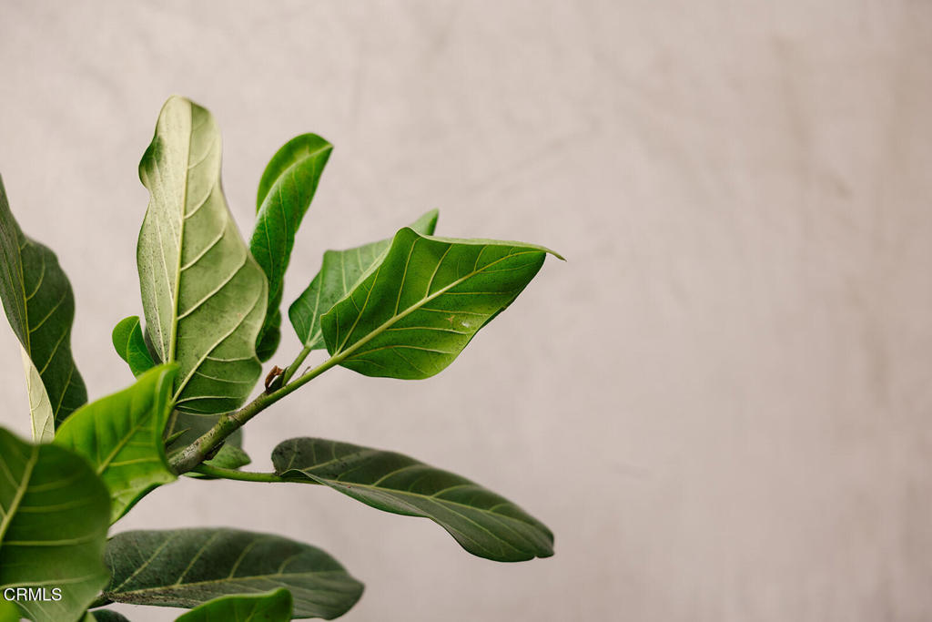 124 W Colorado Street 307