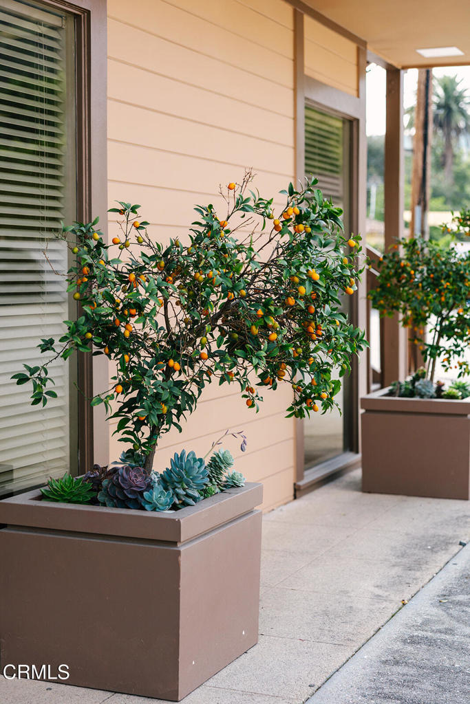 2505 Canada Boulevard 1