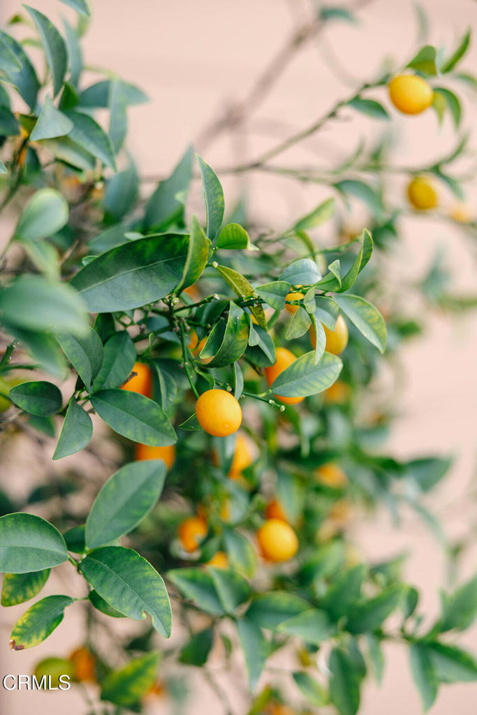 2505 Canada Boulevard