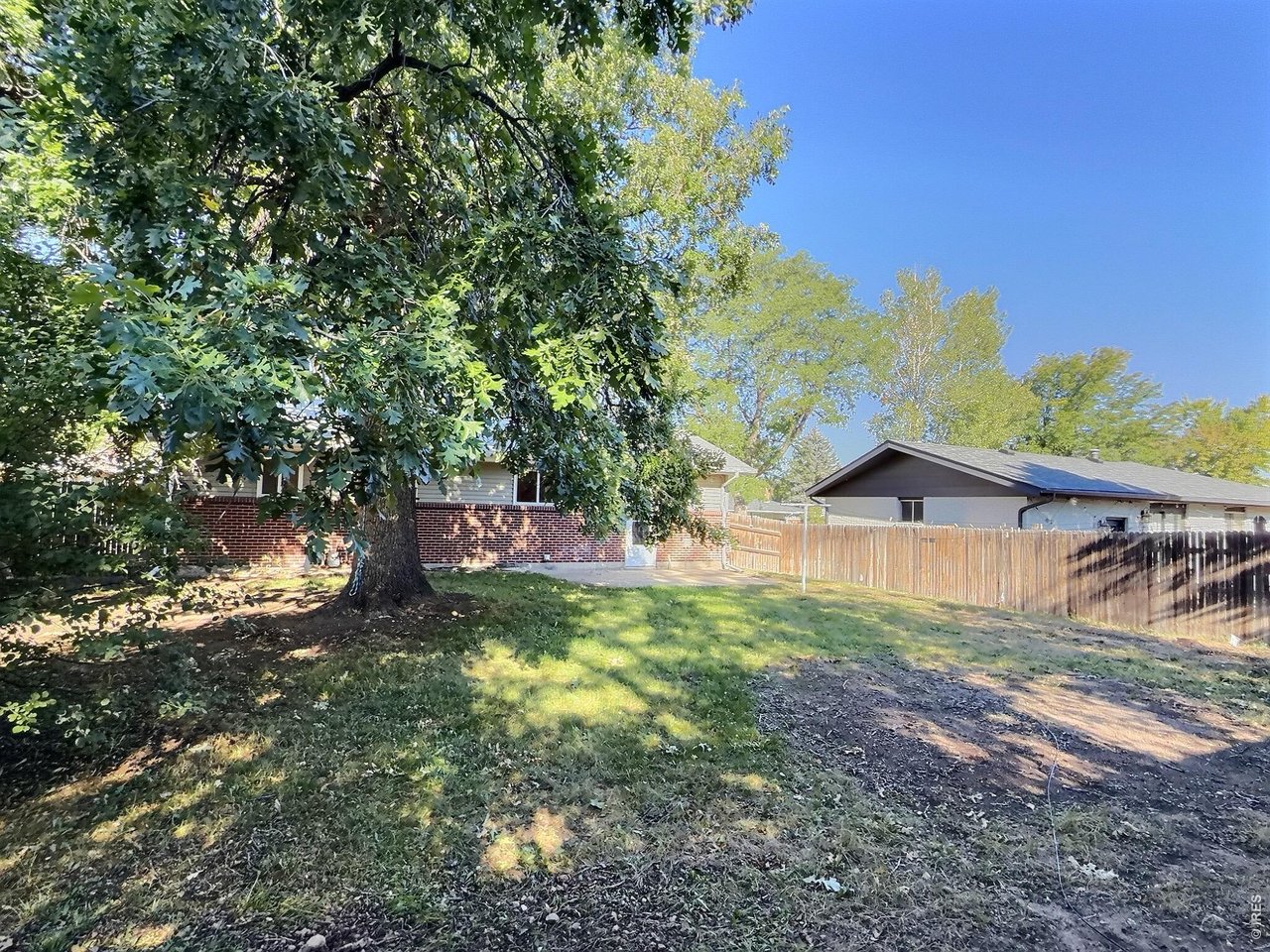 Rear of a brick ranch home behind a large shade tree, with a fenced backyard.