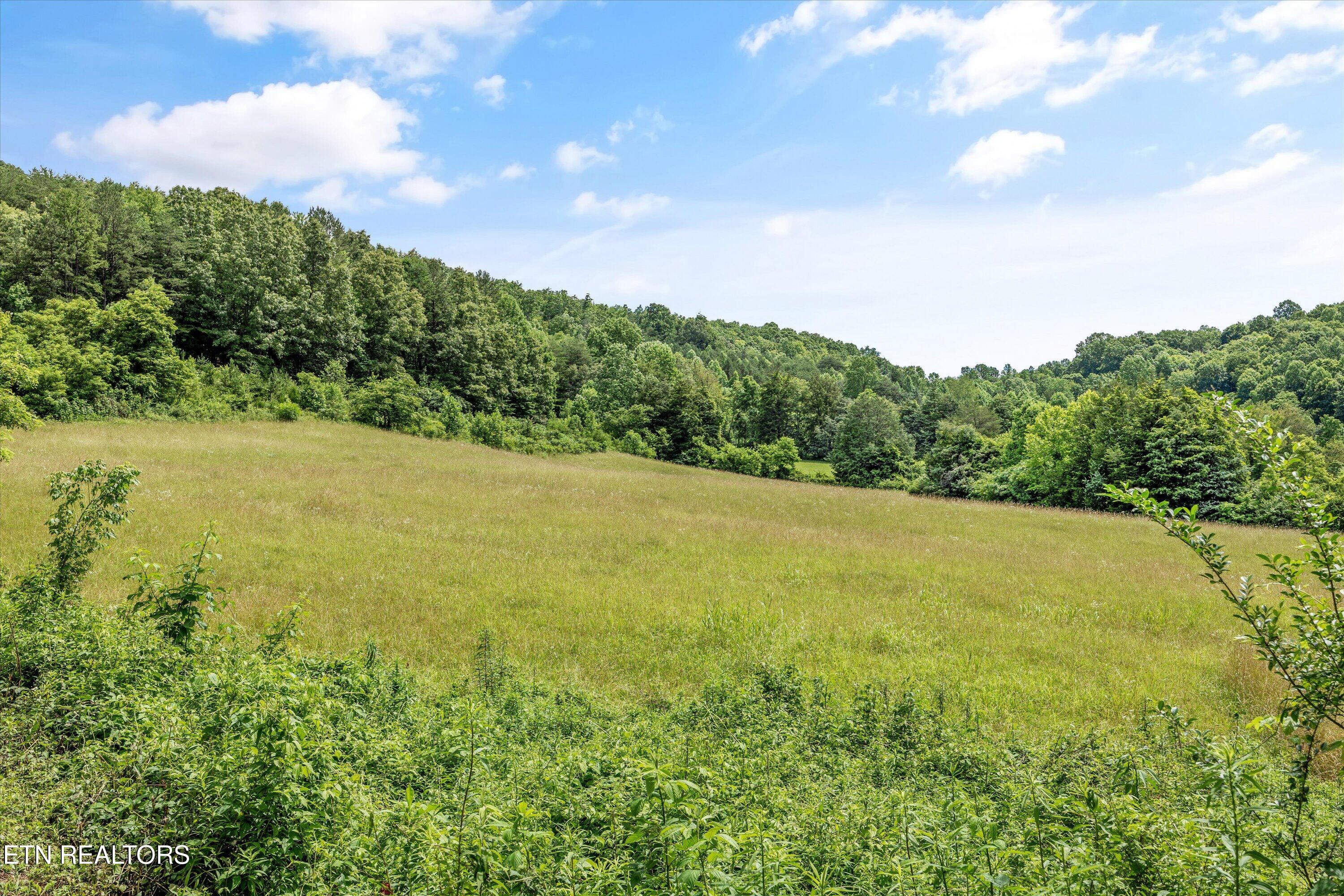 518 Buell Rd
