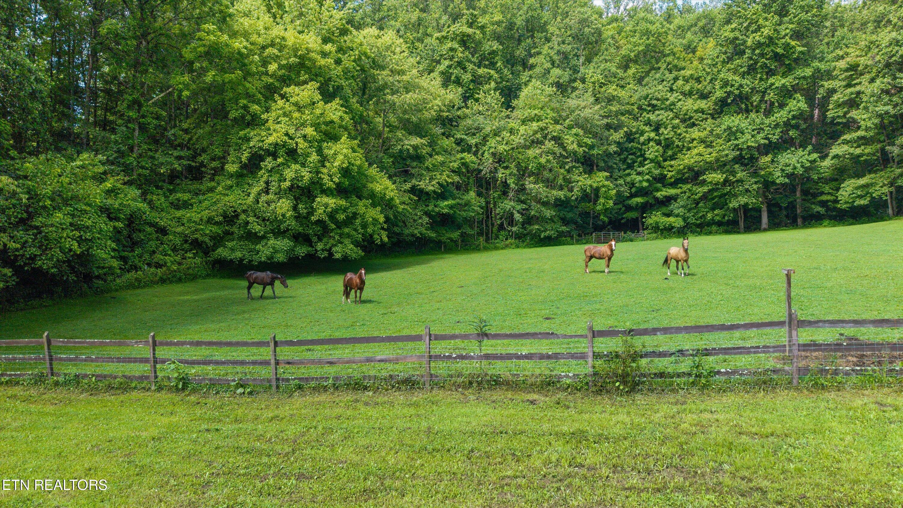 518 Buell Rd