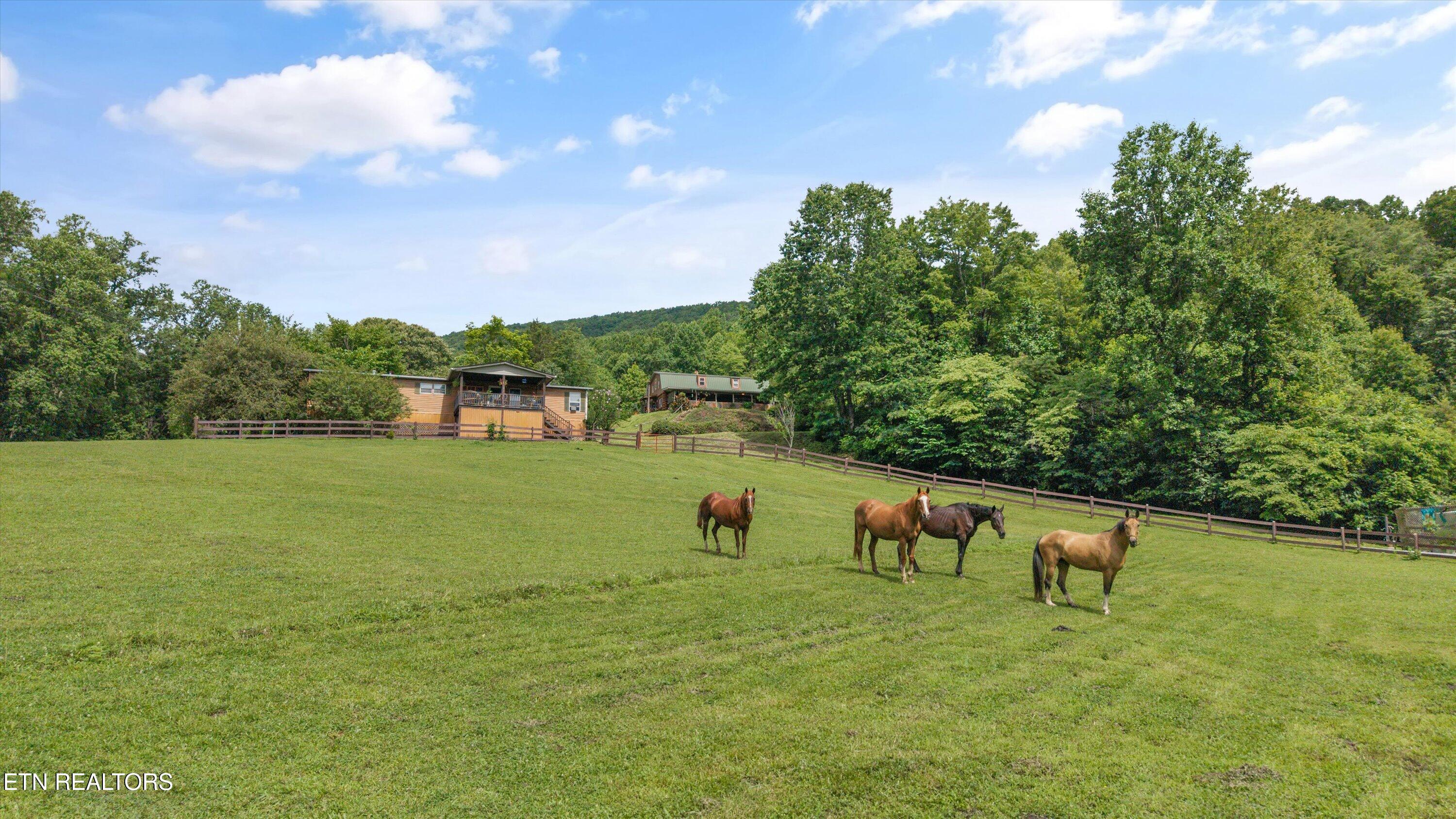 518 Buell Rd