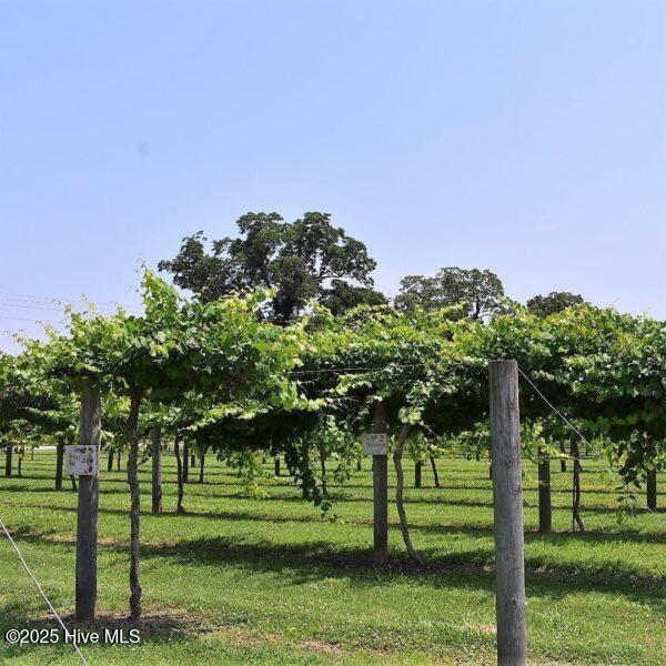410 Driftwood Drive Lot 4