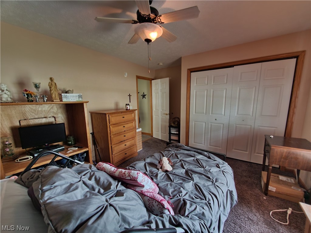 4428 Stafford Drive
